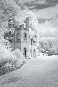 ruined abbey from another angle