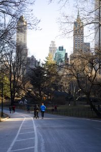 Central Park with buildings behind